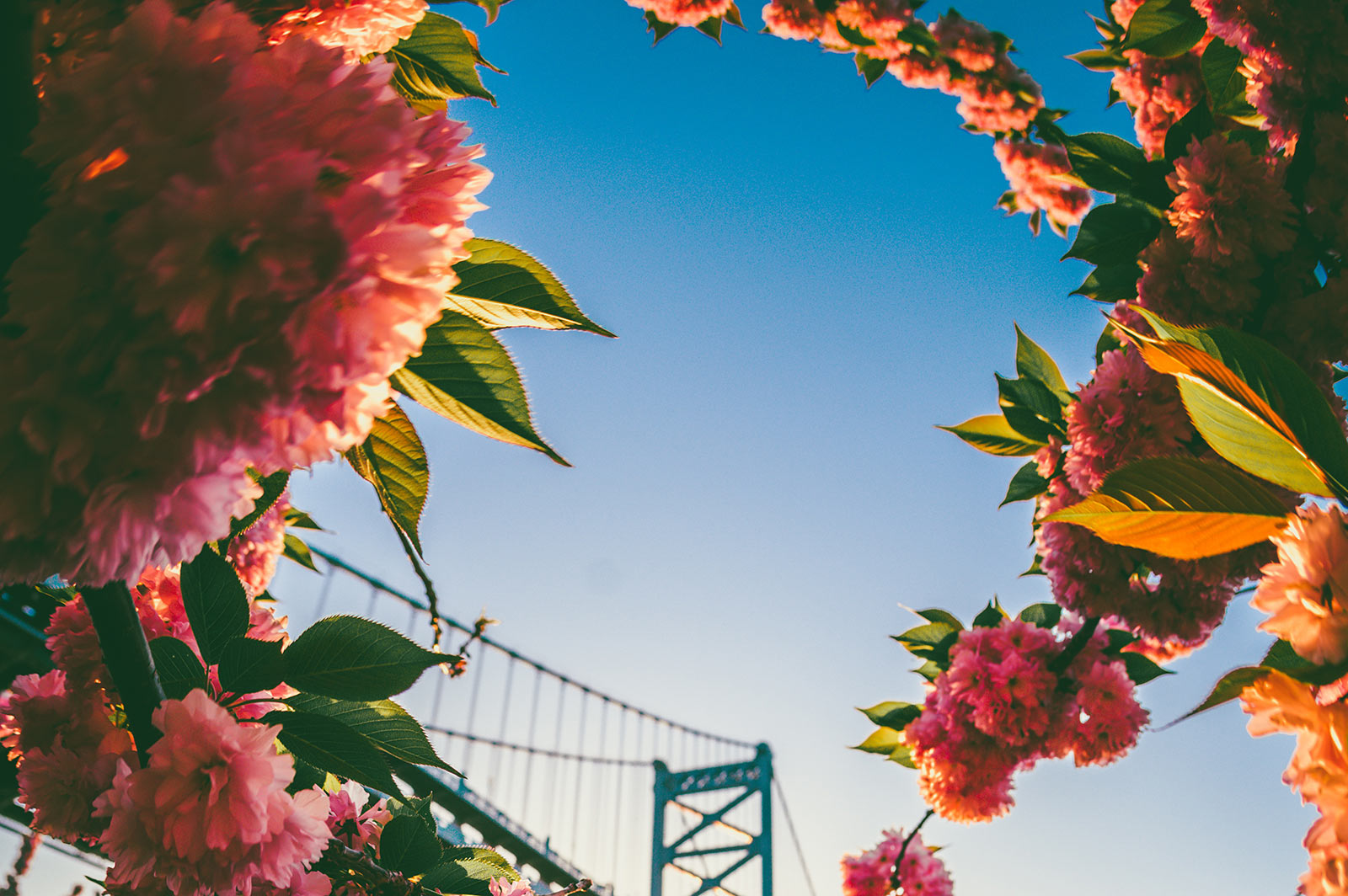 Quand le corps parle avant les mots